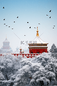 学校高清大图插画图片_冬天雪景摄影图故宫松树照片写实素材