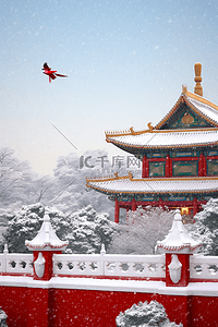 天空飞的鸟插画图片_摄影图冬天写实雪景故宫松树照片素材