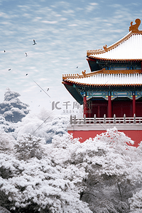冬天雪景摄影图故宫松树照片写实插画设计