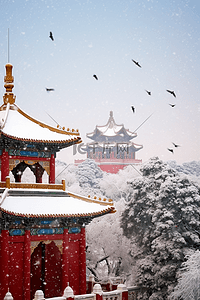 天空飞的鸟插画图片_冬天雪景故宫摄影图松树照片写实插画设计