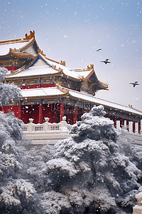 天空飞的鸟插画图片_冬天雪景故宫松树照片写实摄影图插画海报