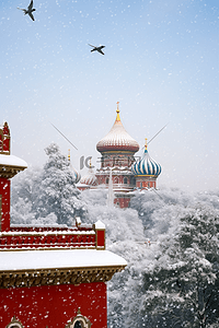 摄影图冬天故宫松树雪景照片写实素材