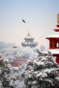 摄影图故宫冬天雪景松树照片写实素材