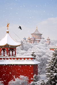 冬天的故宫插画图片_摄影图冬天雪景写实故宫松树照片插图