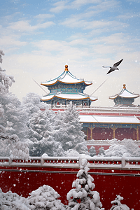 天空飞的鸟插画图片_摄影图照片冬天雪景故宫松树写实插画素材