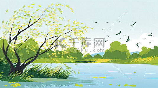 早春时节绿色的柳树图片
