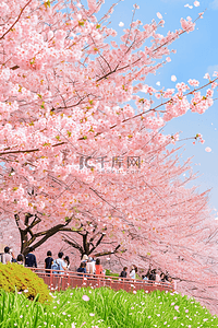 春天唯美樱花树手绘海报赏花插画