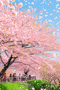 春天唯美樱花树赏花海报手绘插画设计