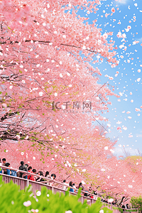 粉色的飘花插画图片_手绘春天唯美樱花树赏花海报插画