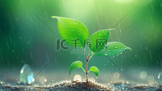 下雨土壤插画图片_春天雨天小雨沥沥下小树苗发芽的插画21