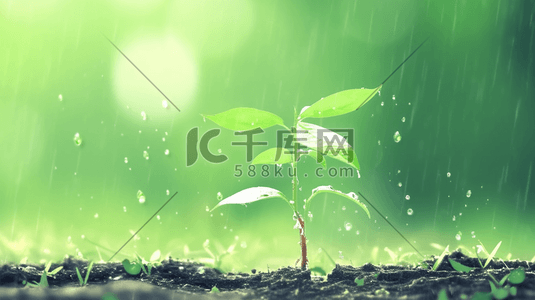 下雨土壤插画图片_春天雨天小雨沥沥下小树苗发芽的插画17