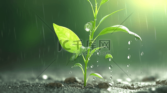 土壤树苗插画图片_春天雨天小雨沥沥下小树苗发芽的插画20