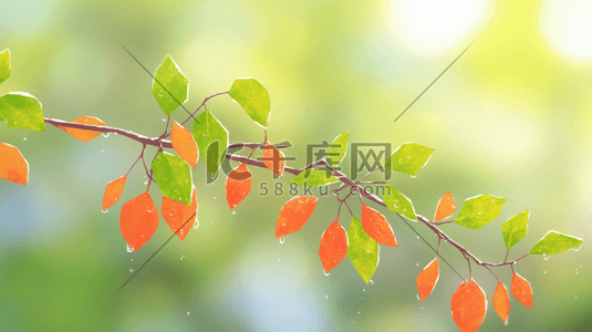 黄了插画图片_秋季树枝上树叶黄了的插画6