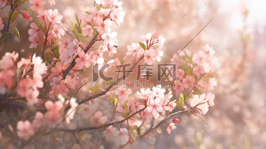 彩色花朵公园里树枝上花朵开放的插画8