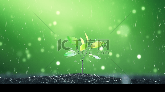 下雨土壤插画图片_春天雨天小雨沥沥下小树苗发芽的插画7