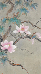 玉兰花插画图片_古风春天玉兰花国风插画