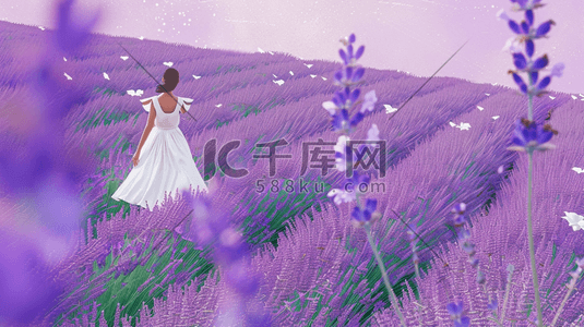 白色紫色白色插画图片_紫色田地里薰衣草女孩穿白色裙子的插画5