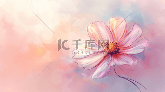 简约边框动图插画图片_简约唯美女神节花朵花束的插画10