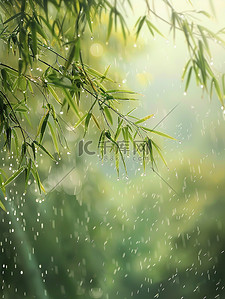 雨滴插画图片_雨滴落在竹叶上春天雨水图片