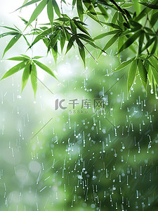 雨滴落在竹叶上春天雨水插画