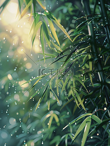 雨滴落在竹叶上春天雨水插画海报