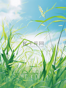 小绿草插画图片_绿草和蓝天春天清新插图
