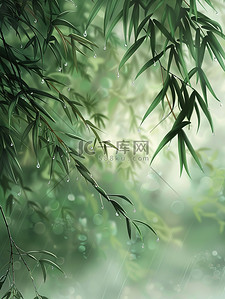 雨滴插画图片_雨滴落在竹叶上春天雨水插画设计
