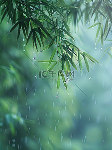 雨滴落在竹叶上春天雨水插画图片