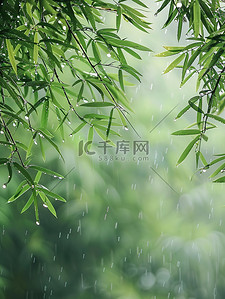 雨滴落在竹叶上春天雨水图片