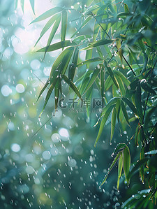 雨滴落在竹叶上春天雨水图片