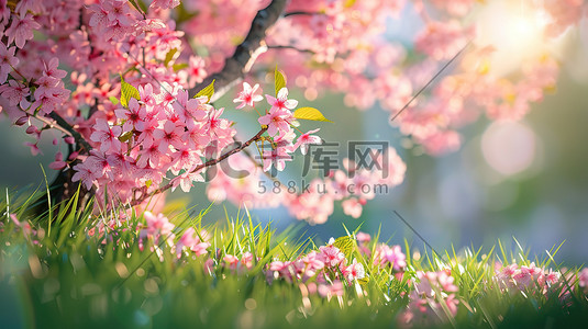 盛开的樱花春天季节微距场景原创插画