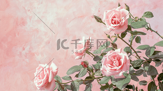春季粉色女神节玫瑰花花朵的插画1
