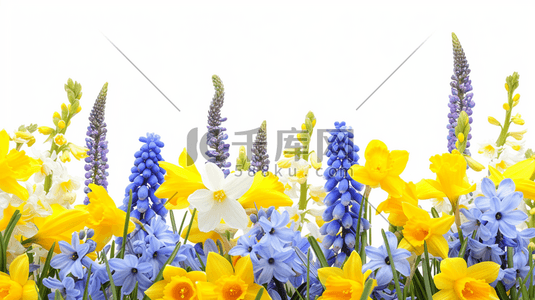 黄色花束插画图片_春季平面黄色花朵花束的插画12