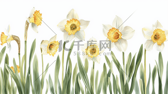 春天简约自然花朵花丛的插画9