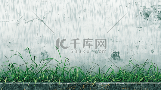 雨季下雨中式景区围墙外花草的插画9