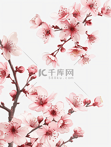 阳光樱花插画图片_无锡鼋头渚樱花