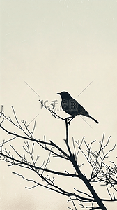 小鸟站在树枝上摄影图片