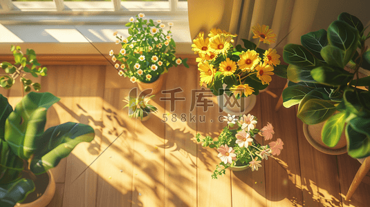 花朵绿植插画图片_阳光照射温馨室内唯美花朵绿植的插画