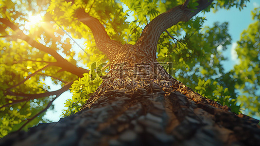 树下的阳光插画图片_树下明媚的阳光春天插画设计