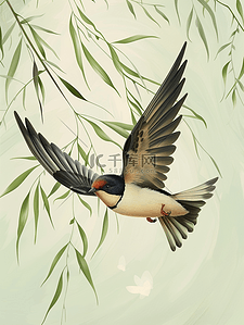 燕子的嘴巴插画图片_春天户外树枝柳枝燕子飞翔的插画