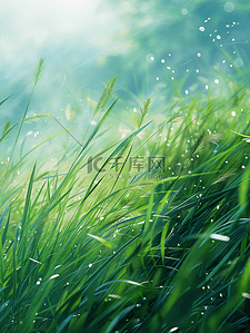 环境生态图插画图片_夏季草原上午草原夏季素材摄影图