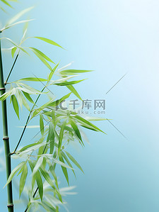 淡蓝色背景下的翠竹插画海报