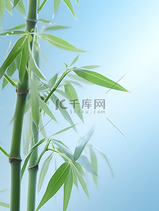 淡蓝色背景下的翠竹插画海报