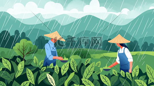 谷雨时节采茶茶农插画11