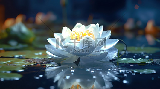 白色的花朵插画图片_白色的莲花绽放花朵插画海报