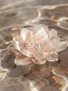 透明的水晶莲花漂浮在水中插画素材