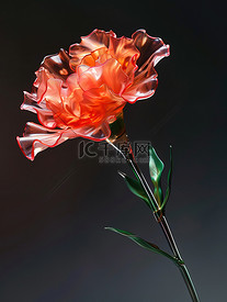 发光玻璃康乃馨母亲节花朵插画图片