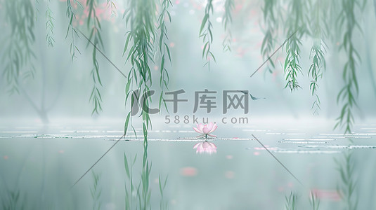 柳枝湖面粉红色莲花插图