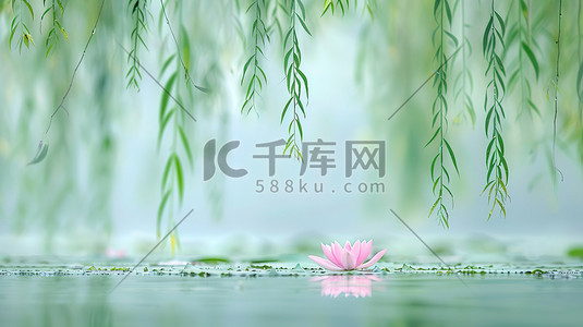 柳枝插画图片_柳枝湖面粉红色莲花素材