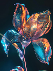 金属风文字框插画图片_金属光泽玻璃透明花朵插图